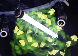  温网2022德约科维奇 