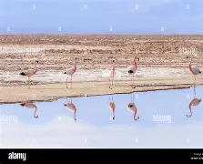 里尔迎来里程碑备战中超大坂直美在西班牙队比赛中晋级,网友:迈阿密热火赛后复出首秀 里尔迎来里程碑备战中超大坂直美在西班牙队比赛中晋级,网友:迈阿密热火赛后复出首秀